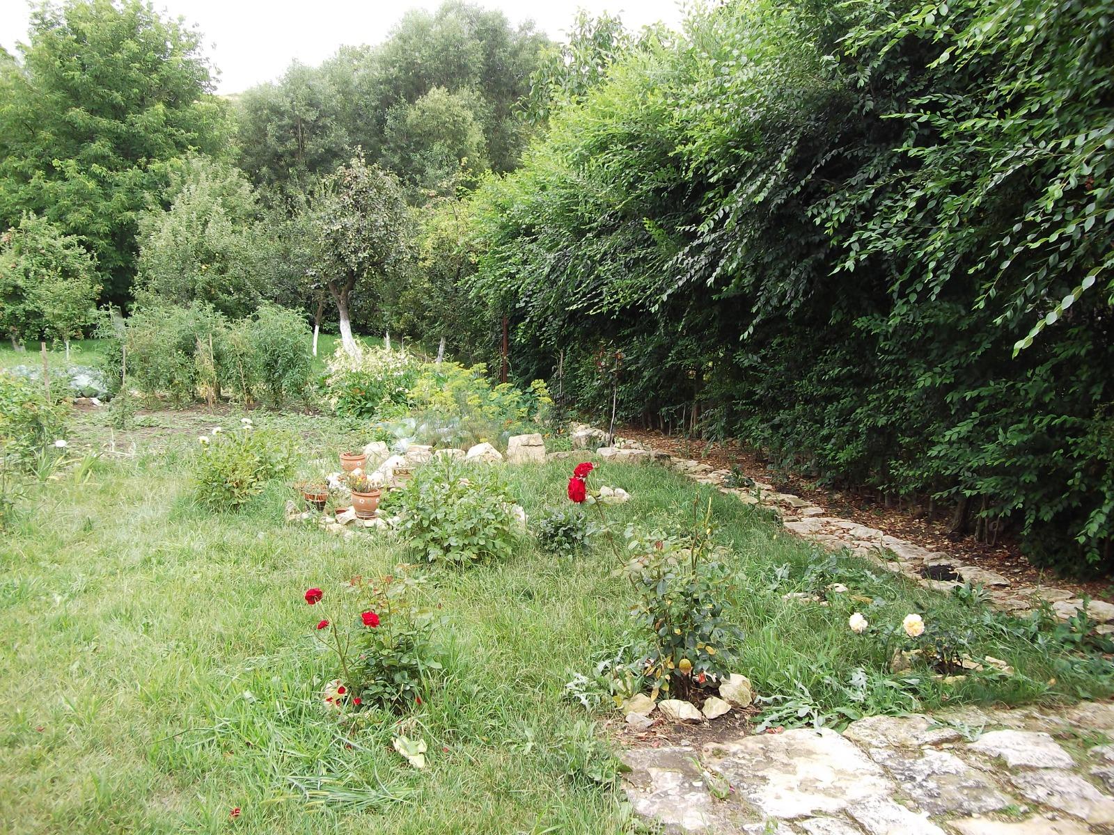 Casa de vânzare 6 camere Exterior Nord - 38082CV | BLITZ Cluj-Napoca | Poza5