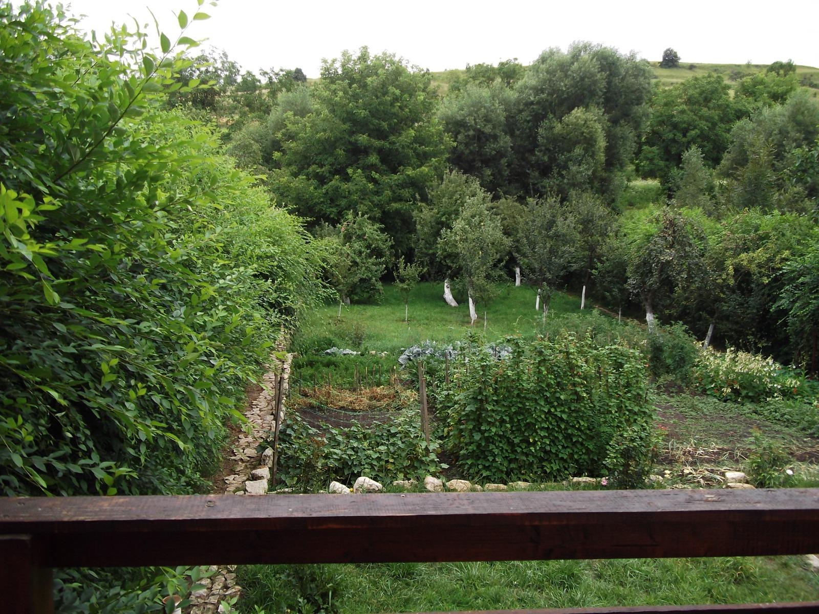 Casa de vânzare 6 camere Exterior Nord - 38082CV | BLITZ Cluj-Napoca | Poza3