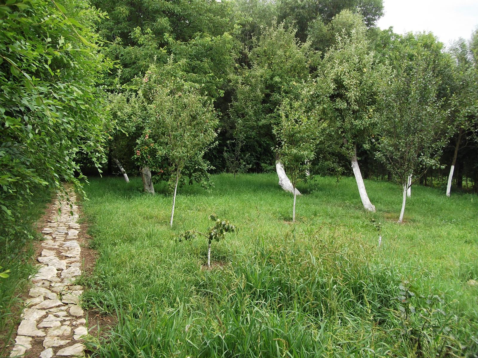 Casa de vânzare 6 camere Exterior Nord - 38082CV | BLITZ Cluj-Napoca | Poza8