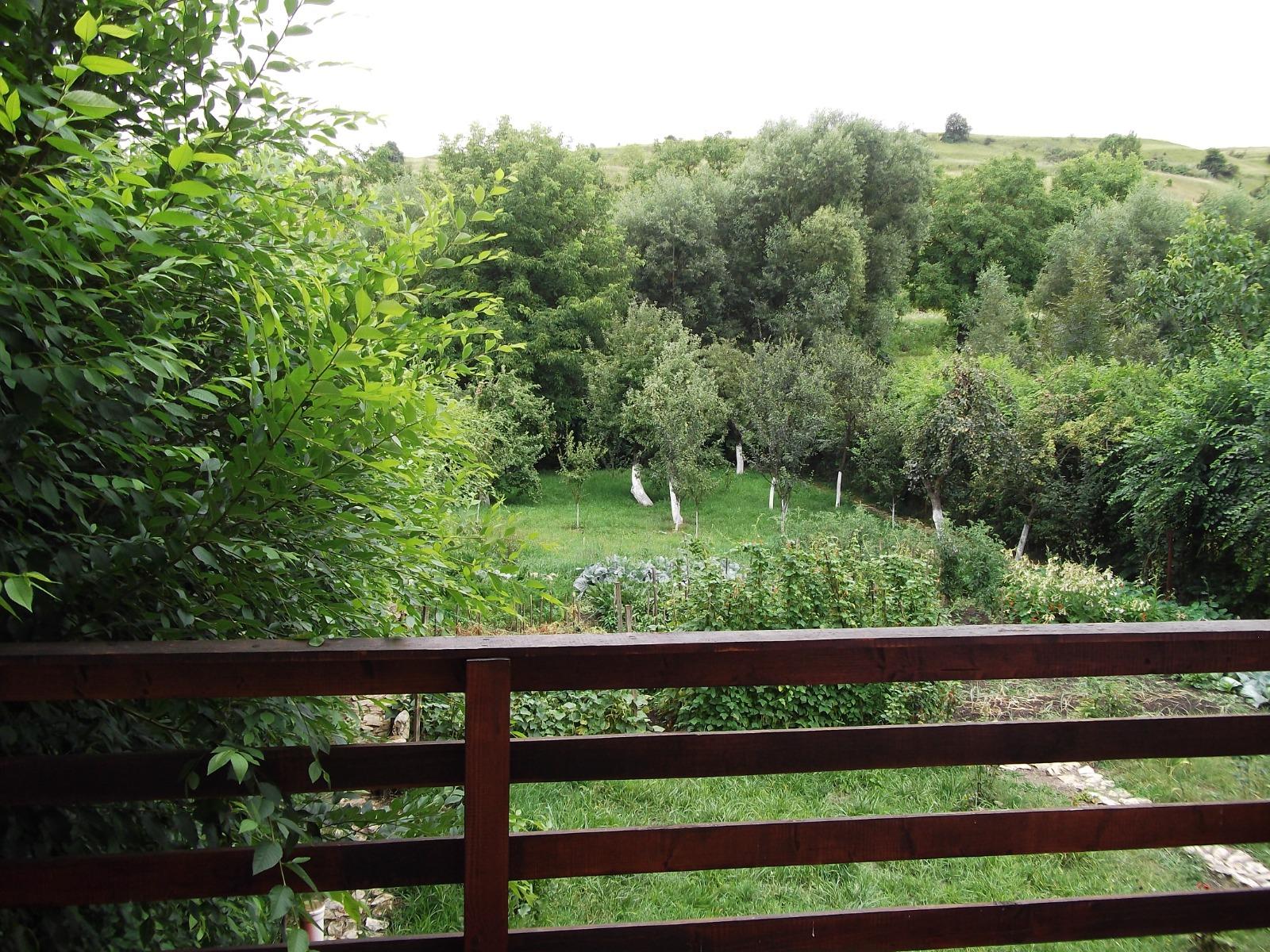 Casa de vânzare 6 camere Exterior Nord - 38082CV | BLITZ Cluj-Napoca | Poza4