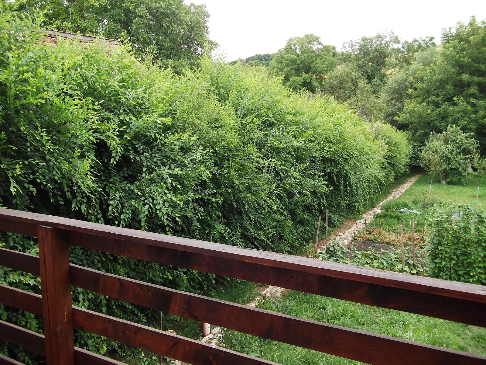 Casa de vânzare 6 camere Exterior Nord - 38082CV | BLITZ Cluj-Napoca | Poza7