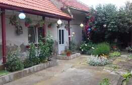 2 case in curte de vanzare, 190 mp utili, teren 288 mp, zona semicentrala!