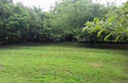 Casa de vanzare 150 mp, teren 800 mp, front 17 ml!