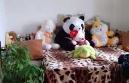 Casa de vanzare 150 mp, teren 800 mp, front 17 ml!