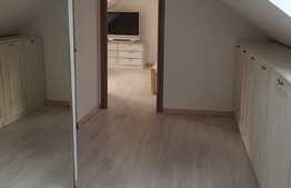 Apartament 2 camere, spatios, 110 mp, lux, zona Piata Mihai Viteazu