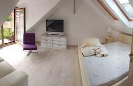 Apartament 2 camere, spatios, 110 mp, lux, zona Piata Mihai Viteazu