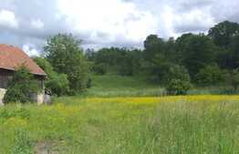 Casa individuala cu 14600 mp teren, zona Spitalului Polaris