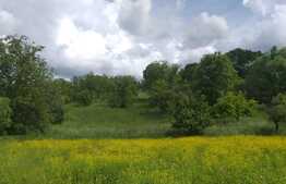 Casa individuala cu 14600 mp teren, zona Spitalului Polaris