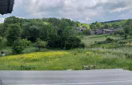 Casa individuala cu 14600 mp teren, zona Spitalului Polaris