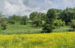 Casa individuala cu 14600 mp teren, zona Spitalului Polaris