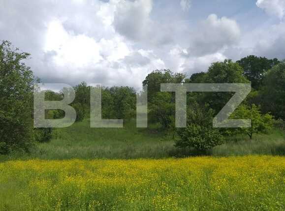 Casa de vânzare 4 camere Exterior Nord - 38114CV | BLITZ Cluj-Napoca | Poza2