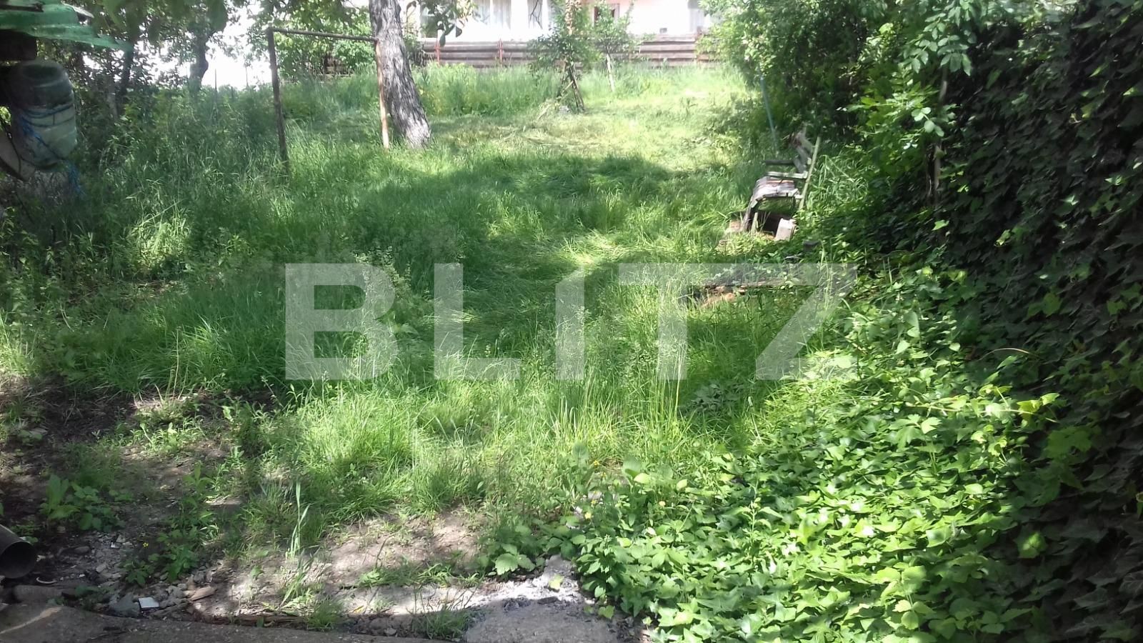 Casa de vânzare 4 camere Dambul Rotund - 38117CV | BLITZ Cluj-Napoca | Poza3