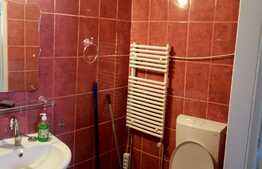 Vrei sa locuiesti in centru?Garsoniera, 29 mp, zona strazii Horea