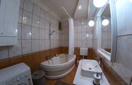 Apartamentul perfect pentru investitie! 3 camere in zona Parcului Central!