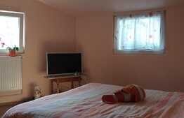 Casa situata in zona ultracentrala, 60 mp utili, curte comuna!