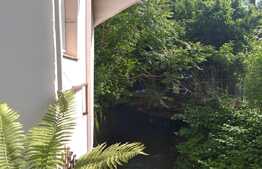 Casa situata in zona ultracentrala, 60 mp utili, curte comuna!