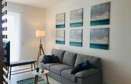 Iti doresti sa locuiesti intr-un apartament cochet in apropiere de statii de bus si magazine? Avem oferta pentru tine!