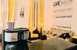 Apartament boem in Piata Muzeului!!