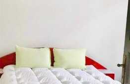 Apartament boem in Piata Muzeului!!