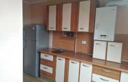 Apartament cu 1 camera! Zona strazii Porii!