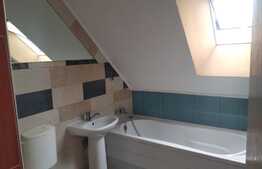 Apartament cu 1 camera! Zona strazii Porii!