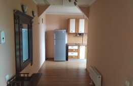 Apartament cu 1 camera! Zona strazii Porii!