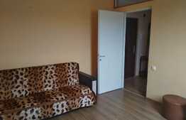 Apartament cu 1 camera! Zona strazii Porii!