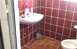 De vanzare afacere la cheie! Service auto, spalatorie, vulcanizare, zona Gilau