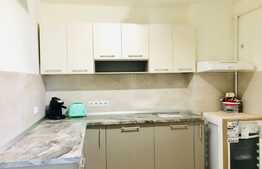 Apartament cu 2 camere langa Casa de Cultura a Studentilor!!