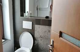 Vrei sa locuiesti in lux si sa ai o curte generoasa? Am gasit oferta potrivita!