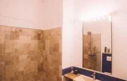 Apartament deosebit in zona Piata Muzeului