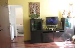 Apartament 3 camere, etaj intermediar, garaj, zona Minerva.