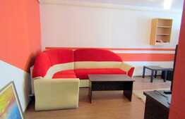 Apartament cu 2 camere, 50 mp, loc de parcare! Zona Muzeul Apei!