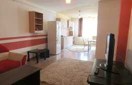 Apartament cu 2 camere, 50 mp, loc de parcare! Zona Muzeul Apei!