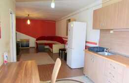 Apartament cu 2 camere, 50 mp, loc de parcare! Zona Muzeul Apei!