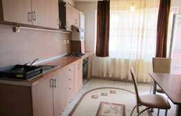 Apartament cu 2 camere, 50 mp, loc de parcare! Zona Muzeul Apei!