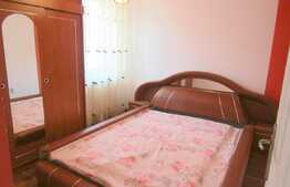 Apartament cu 2 camere, 50 mp, loc de parcare! Zona Muzeul Apei!