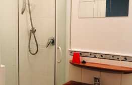 Apartament mic, dar cochet, aproape de toate punctele de interes, zona strazii Primaverii