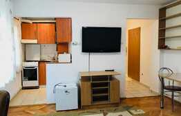 Apartament mic, dar cochet, aproape de toate punctele de interes, zona strazii Primaverii