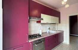 Apartament 2 camere, 60 m, parcare, zona C-tin Brancusi