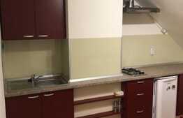 Apartament cu 1 camera, 32 mp, zona strazii Rene Descartes