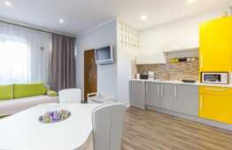 Apartament cochet, 2 camere, finisat, cu gradina, zona Teatrul National!