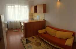 Garsoniera la cheie, 22 mp, zona strazii Corneliu Coposu