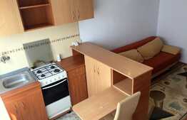 Garsoniera la cheie, 22 mp, zona strazii Corneliu Coposu