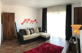 2 camere, 46 mp, etaj intermediar, decomandat, zona strazii Alverna