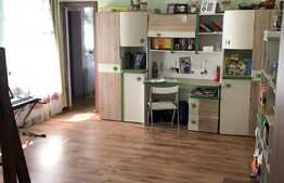 Apartament in zona Parcului Central