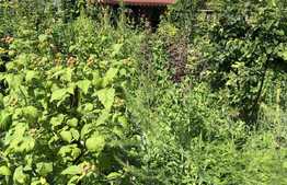 Apartament in zona Parcului Central