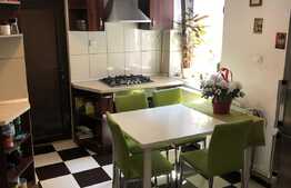 Apartament in zona Parcului Central