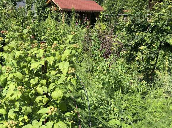 Casa de vânzare 3 camere Plopilor - 38260CV | BLITZ Cluj-Napoca | Poza13