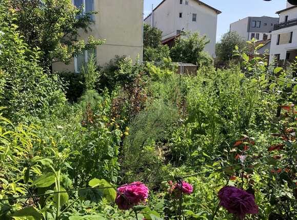 Casa de vânzare 3 camere Plopilor - 38260CV | BLITZ Cluj-Napoca | Poza14